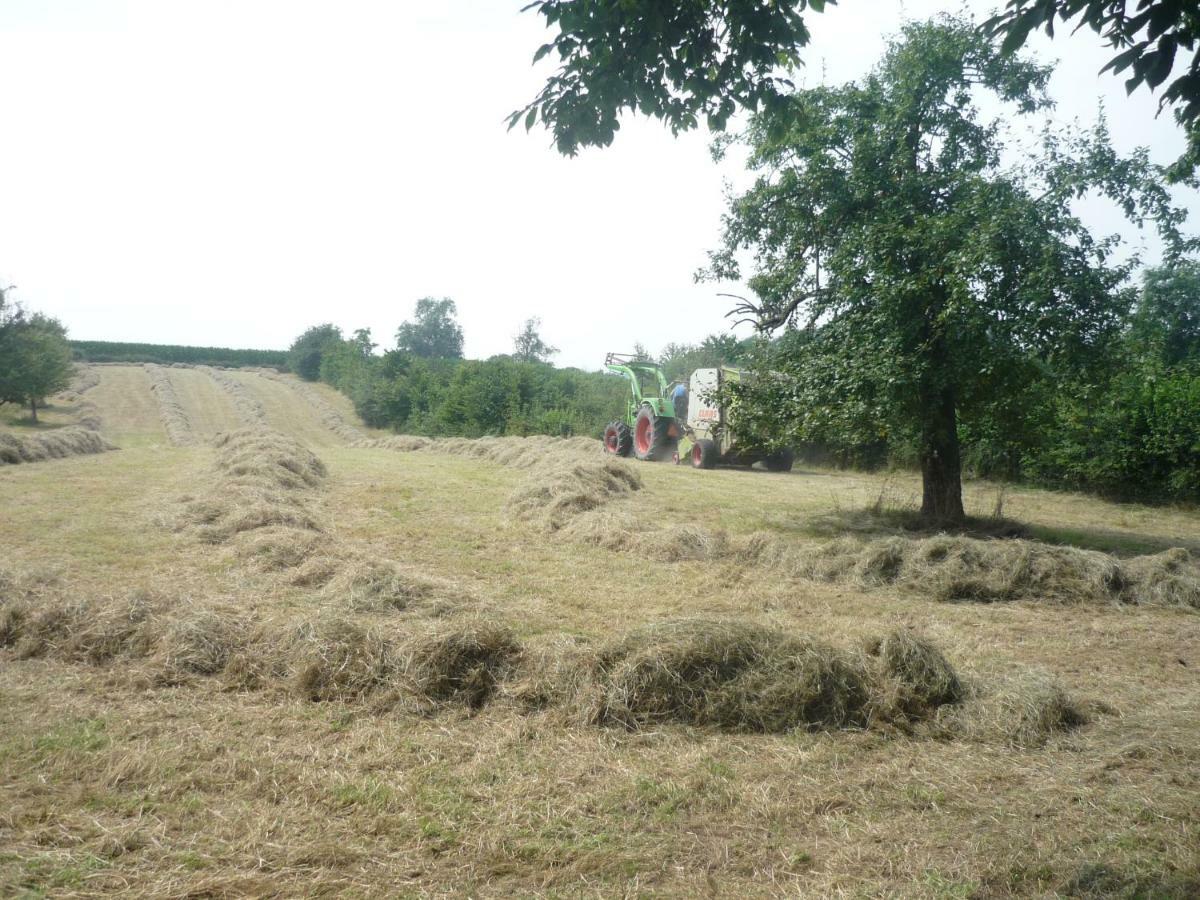 Hoeve Mingels Banholt Экстерьер фото